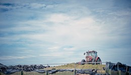 Planning for silage quality for dry cows